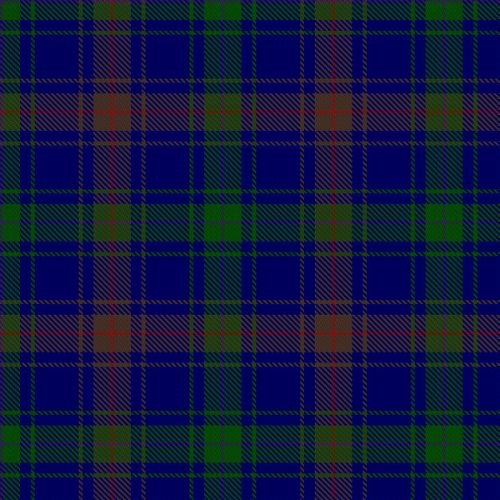 Burt Tartan - Imperial Highland Supplies