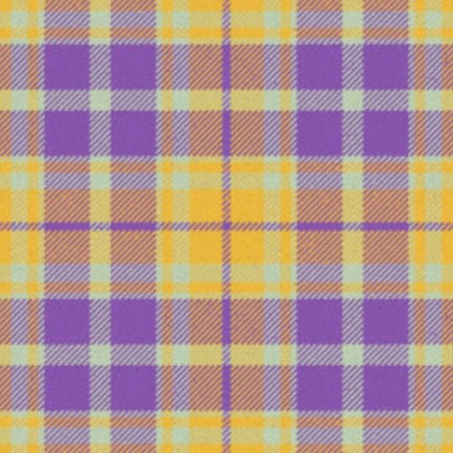 Eye Scourer Ancient Tartan - Imperial Highland Supplies