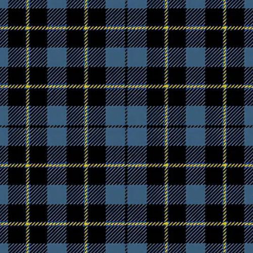 South African Air Force Tartan - Imperial Highland Supplies