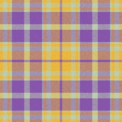 Eye Scourer Ancient Tartan - Imperial Highland Supplies