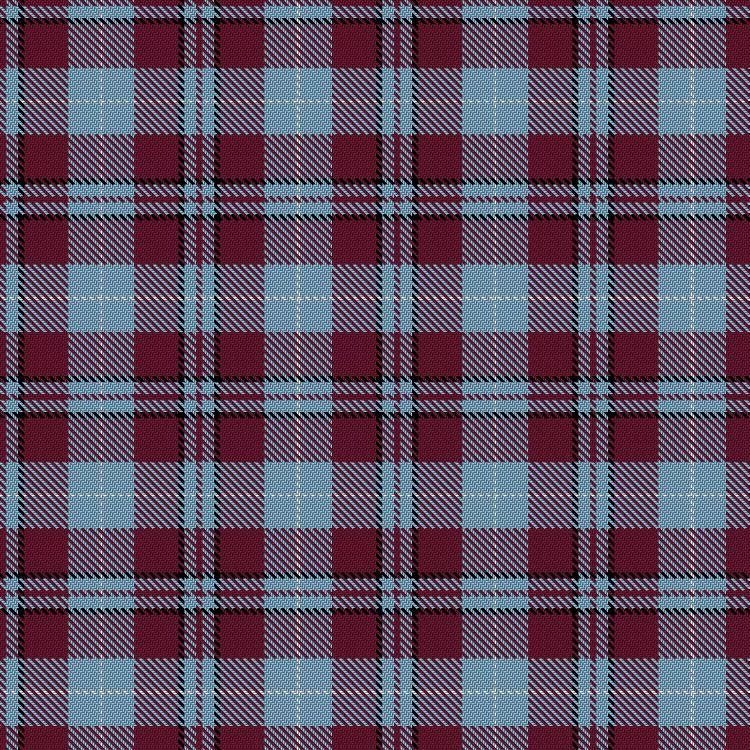 Ferguson Modern Tartan (New) - Imperial Highland Supplies