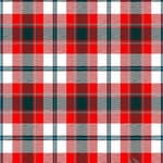 Glasgow District Tartan - Imperial Highland Supplies