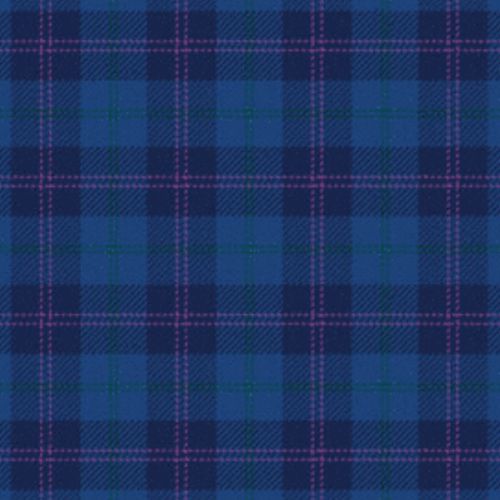 Gravesend Grammar School Tartan - Imperial Highland Supplies