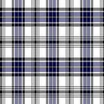 Hannay Tartan - Imperial Highland Supplies