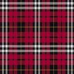 Little Tartan - Imperial Highland Supplies