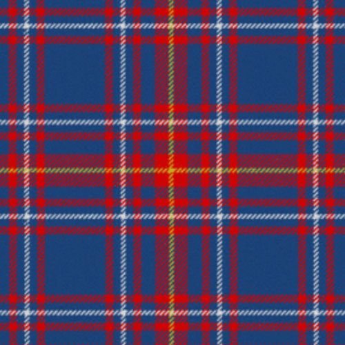 Newton Primary School Tartan - Imperial Highland Supplies