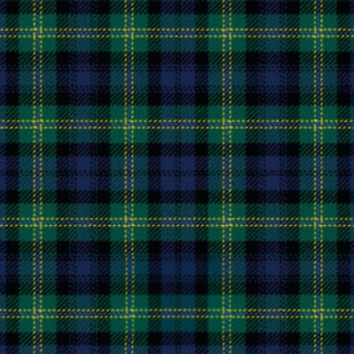 Polaris Tartan - Imperial Highland Supplies