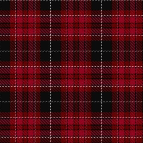 Pride of Wales Tartan - Imperial Highland Supplies