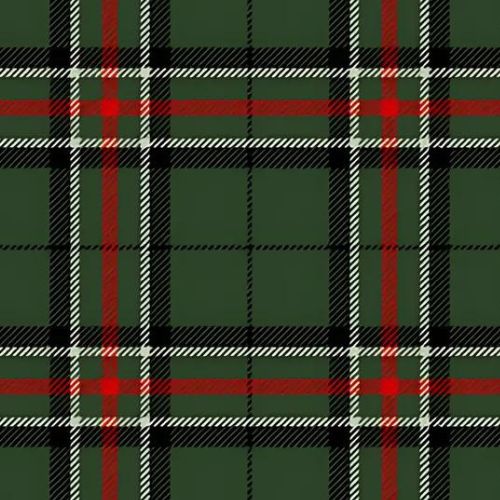 Sir Billi Tartan - Imperial Highland Supplies