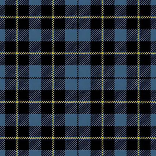 South African Air Force Tartan - Imperial Highland Supplies