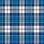 Strathclyde District Tartan - Imperial Highland Supplies