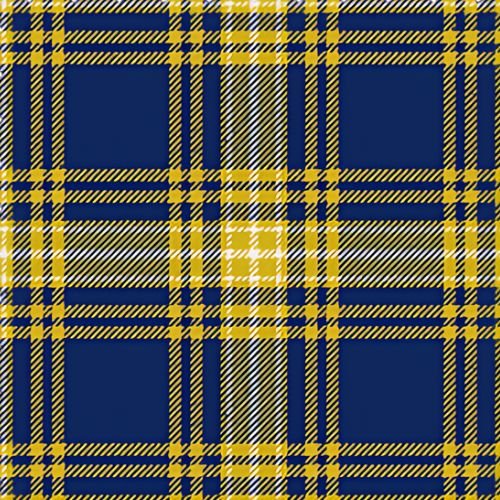 UNC Greensboro Tartan - Imperial Highland Supplies