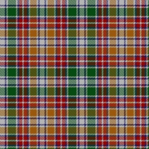 Womble Tartan - Imperial Highland Supplies